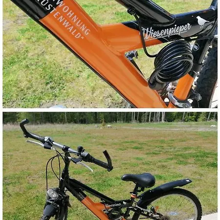 Ostsee-wiesenpieper Apartment Graal-Mueritz