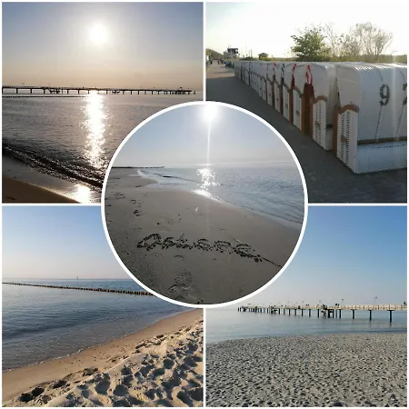 Ostsee-wiesenpieper