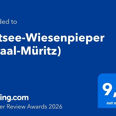 Ostsee-wiesenpieper *