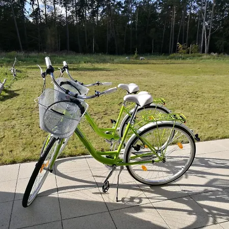 Ostsee-wiesenpieper * Graal-Mueritz