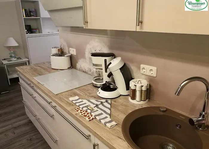 Ostsee-wiesenpieper * 格拉尔-米里茨